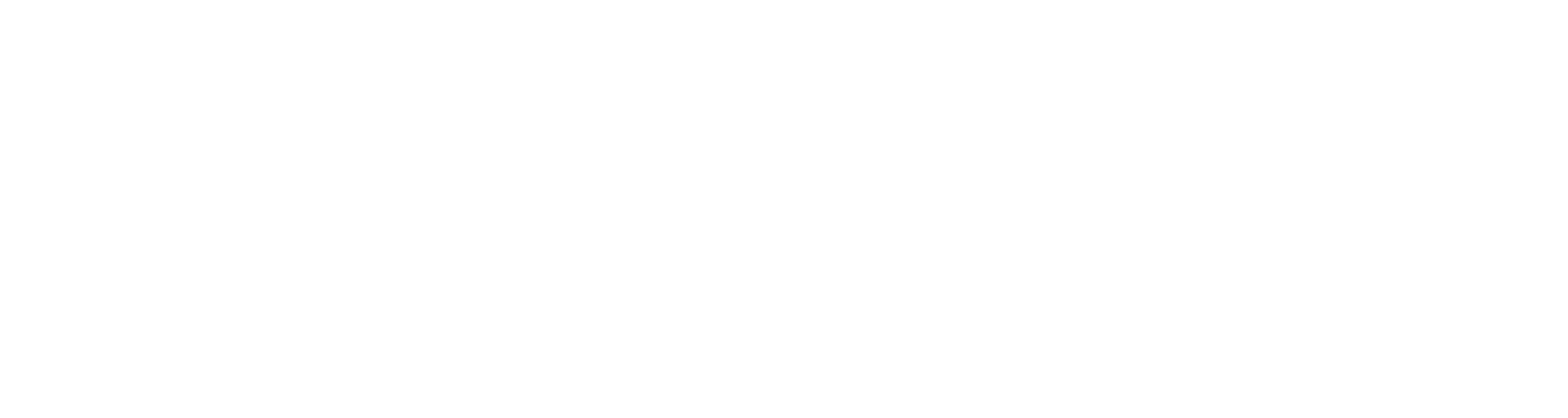 LE_FullLogo_White LE_FullLogo_White